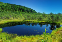 Crece el número de pequeños lagos en todo el mundo, pero advierten que representan un serio problema