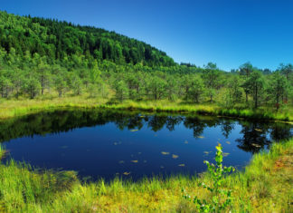 Crece el número de pequeños lagos en todo el mundo, pero advierten que representan un serio problema