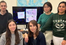 Descubren que los misteriosos cilios del cerebro pueden controlar nuestra percepción del tiempo