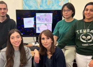 Descubren que los misteriosos cilios del cerebro pueden controlar nuestra percepción del tiempo