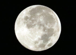 ¿Cuándo es y cómo ver la Luna Fría o la última Luna Llena de 2022?