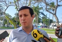 Limita parcialmente proyectos eólicos falta de capacidad de líneas de transmisión de CFE: CIEST