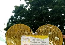 Invitan a apoyar a niños con cáncer