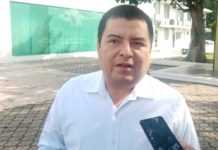 Piden a ciudadanos no tirar pinos secos en las calles