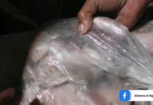 Video de venta de carne de cocodrilo se vuelve viral