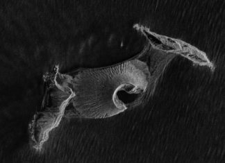 Descubren inesperadas formas de vida en una isla aparecida de la nada