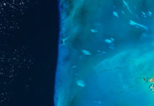 Inusuales manchas blancas flotan cerca de las Bahamas y nadie sabe por qué