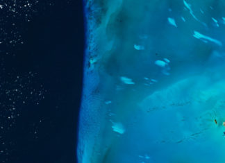 Inusuales manchas blancas flotan cerca de las Bahamas y nadie sabe por qué