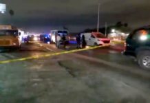 Muere persona atropellada por unidad del transporte público