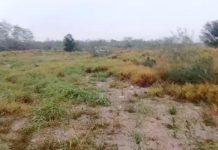 Reportan hallazgo al parecer de restos óseos en predio baldío