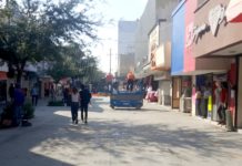 Se acabaron las fiestas decembrinas y con ello los arreglos