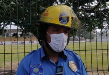 Desde ataque de perros hasta personas fallecidas durante el 1 de enero