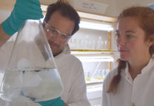 Descubren que esta bacteria puede comer y digerir el plástico vertido al mar