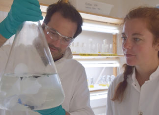 Descubren que esta bacteria puede comer y digerir el plástico vertido al mar