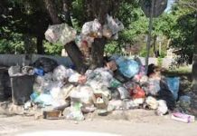 Ven solución al problema de la basura en el relleno sanitario y compra de camiones