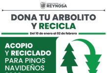 Activó Gobierno de Reynosa Centro de Acopio de pinos navideños