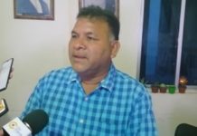 Esperan buenas ganancias por venta de soya