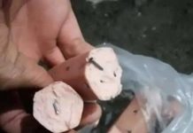 Meten clavos en comida para animales en situación de calle