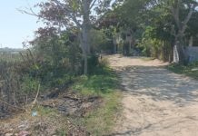 Incendio en tular genera movilización de 10 familias de la Nuevo Madero