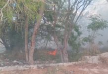 Bomberos acuden a llamado de incendio en predio