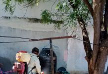 Llama salud a participación ciudadana para evitar dengue