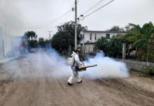 Sin confirmar presunta muerte por dengue: SST.