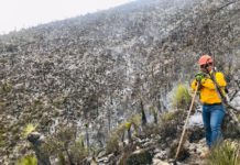 Apoya Protección Civil del Estado en control de incendio forestal en Bustamante