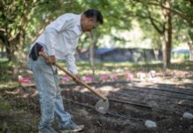Presenta la Dirección de Desarrollo Comunitario del DIF Tamaulipas los programas asistenciales para el 2023