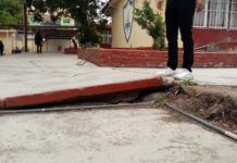 Raíces de árbol daña concreto de patio de primaria de Madero