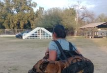 Binomio canino de la Guardia Estatal asiste a Diplomado Nacional para Perros Multipropósito