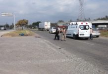 Pierde la vida abuelito atropellado, responsable huye