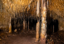 Hallan una cueva en España con zarpazos de osos gigantes