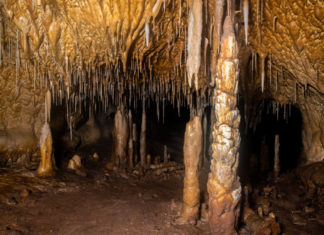 Hallan una cueva en España con zarpazos de osos gigantes