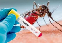 Termina enero con 47 casos sospechosos de dengue
