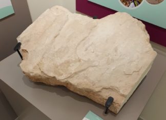 Hallan una inesperada huella de 3 dedos entre las ruinas de un convento de 600 años