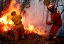 Incendio en Miquihuana ha consumido 10 hectáreas