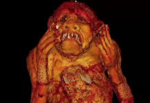 Resuelven el misterio de la “sirena” momificada ‘pescada’ en Japón