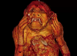 Resuelven el misterio de la “sirena” momificada ‘pescada’ en Japón