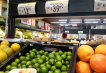 Limón es caro, y se prevé aumente su precio un 20 % en Semana Santa