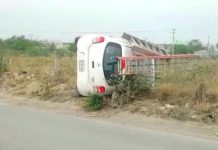 Accidentes viales dejan cuantiosos daños materiales y caos vehicular