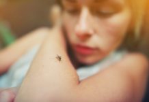 Dengue avanza, confirman ocho casos