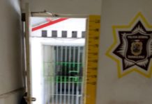 Detienen a sujeto por alterar el orden público