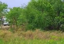 Hallan al parecer fosa clandestina en apartado sector popular