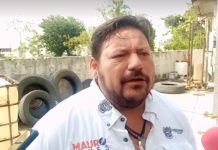 Urgente implementar el programa SOS cocodrilo en Madero