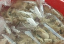 Prohibida la comercialización de ostión en su concha y en bolsitas, sobre todo en ambulantes