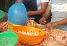 Despicadoras de camarón siguen pugnando por apoyos federales, a la mitad se los quedaron a deber