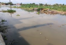 Colonos de la Lucio Blanco con temor por presencia de cocodrilos
