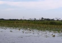 Ante la problemática de escasez de agua SEDENA toma acciones preventivas
