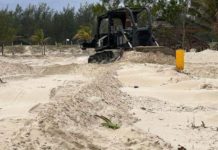 Desovan tortugas lora entre maquinaria en playa