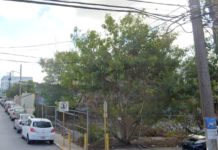 Rateros a “salto de mata” en colonias populares